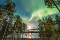 Noite serena: Aurora sobre um lago tranquilo cercado por árvores