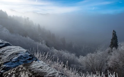 Paisagem invernal coberta de névoa com árvores cobertas de geada e uma cadeia montanhosa distante sob um céu azul claro.