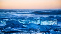 Glace glaciaire sur la côte arctique au coucher du soleil