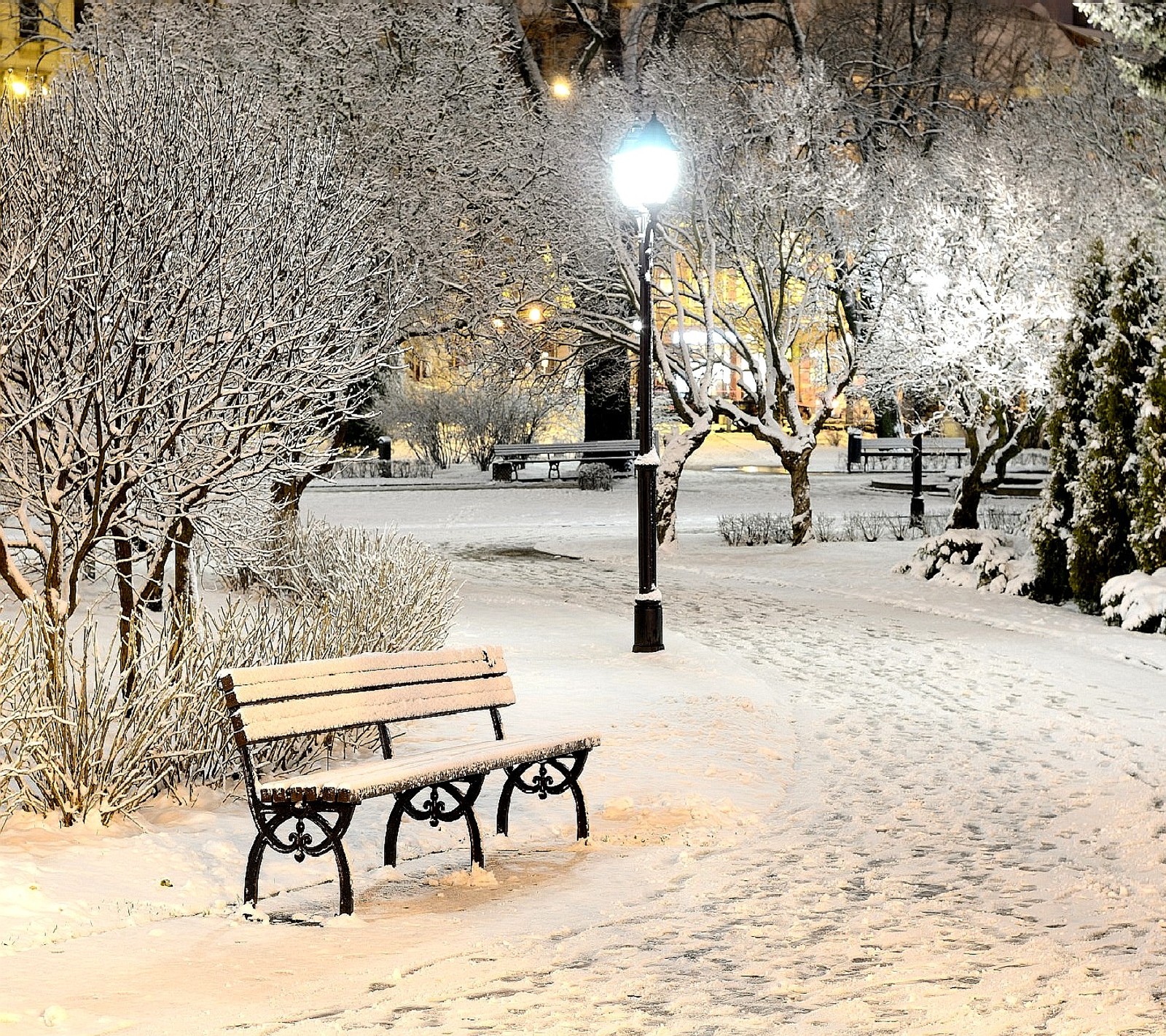 Verschneite parkbank inmitten eines verschneiten parks bei nacht (natur)