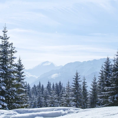 Serenidade de inverno nas montanhas Tatra