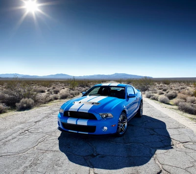 amérique, ford, muscle, shelby