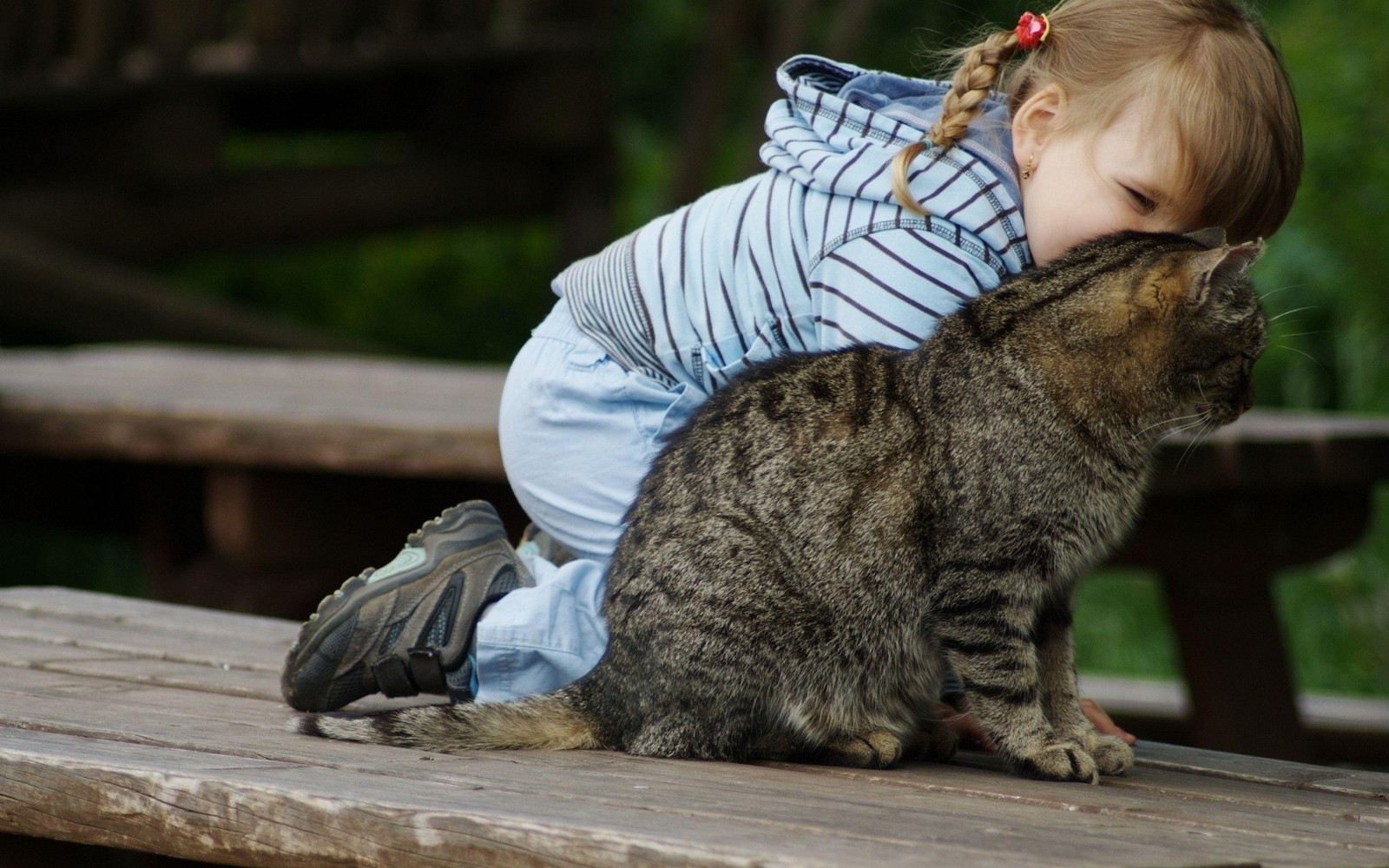 Une girafe et une petite fille qui embrassent un chat sur une table de pique-nique (chaton, enfant, peau, museau, nourrisson)