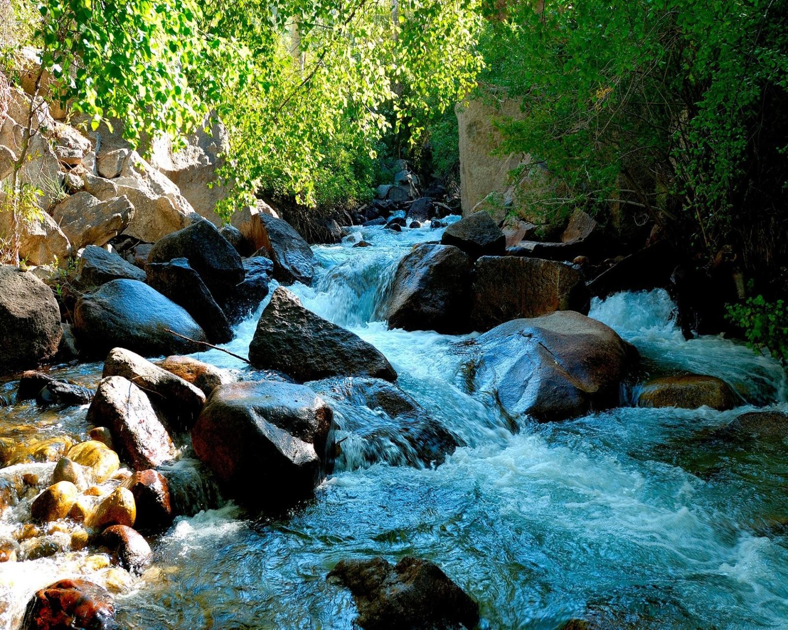 Há um riacho que corre por uma floresta cheia de pedras (natureza, rocha)