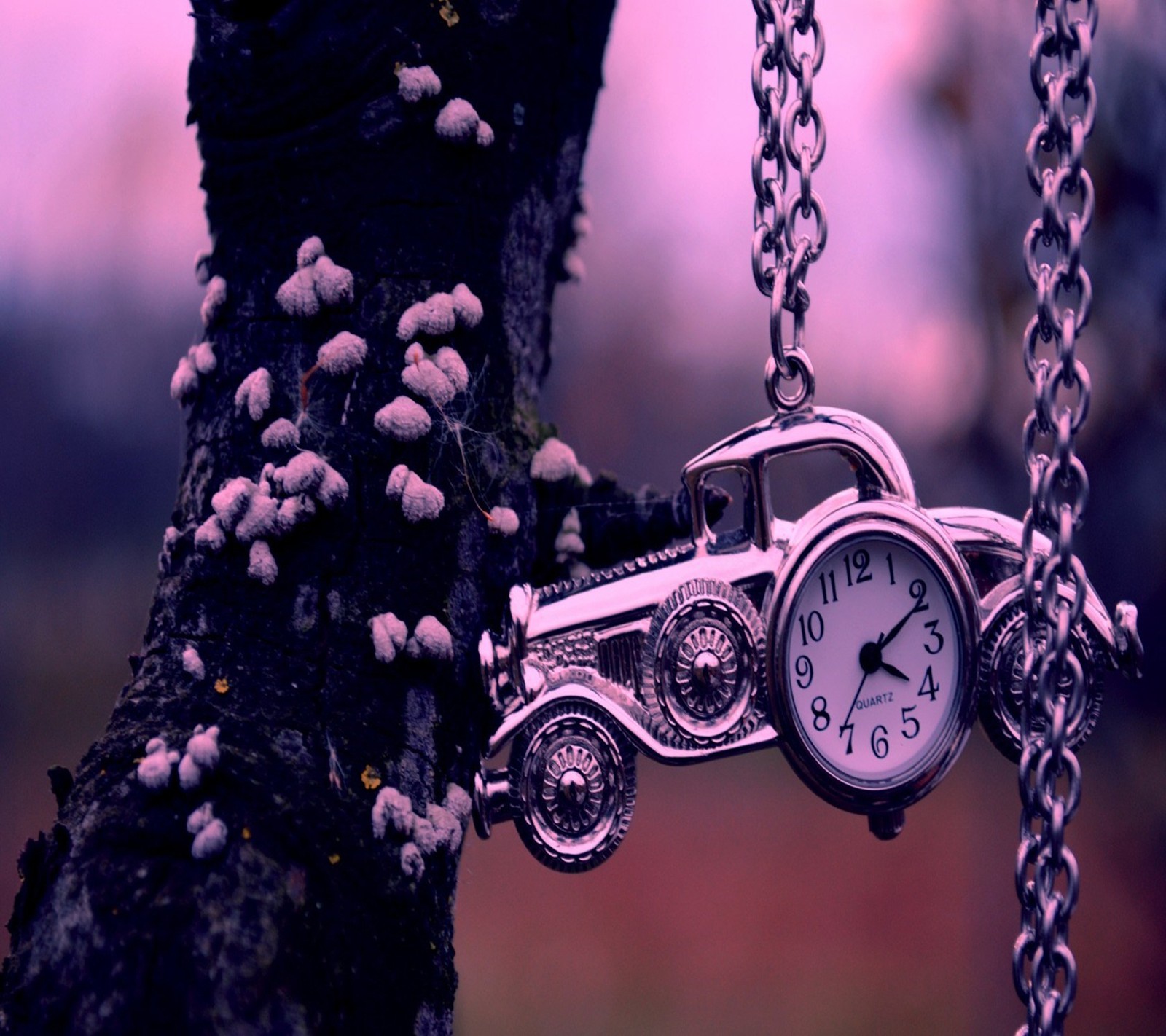 Hay un reloj colgando de un árbol con un auto al lado (banda, coche, cadena, reloj, genial)