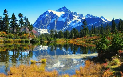 Majestätischer Mount Shuksan, der sich in den ruhigen Gewässern des Glacier-Nationalparks spiegelt