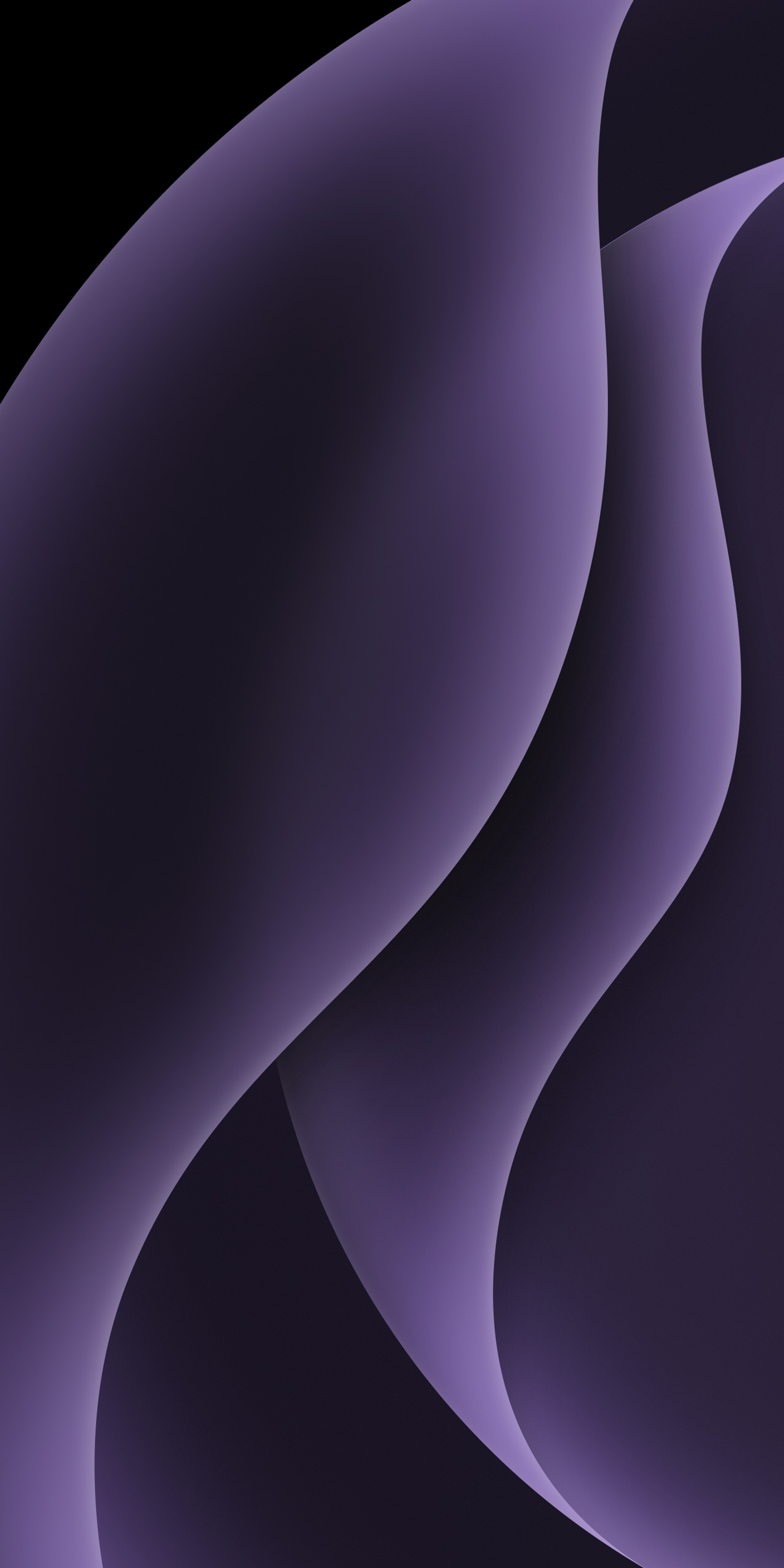 Purple abstract background with curved shapes and a black background (plant, purple, grey, violet, art)