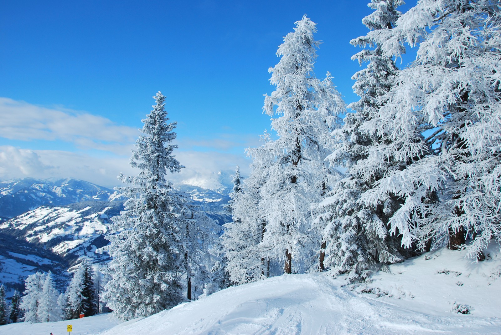 Skifahrer auf einem schneebedeckten hang mit bäumen und bergen im hintergrund (schnee, winter, baum, frost, berg)