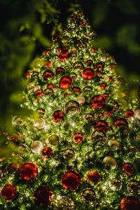 Árvore de Natal de pinheiro decorada festivamente, iluminada com enfeites vermelhos e prateados