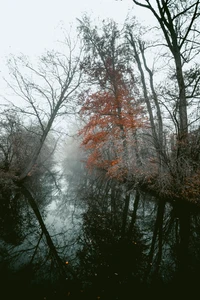 Autumn Reflections in a Misty River Landscape