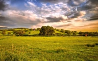 Lush green pasture under a dramatic sky at sunset, framed by gentle hills and scattered trees.