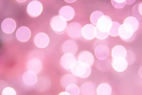 bokeh, rosa, luz, roxo, iluminação