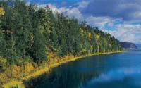 Natur salvaje siberiana: reflejos serenos del lago en medio de bosques vibrantes