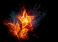 fire, flower, flame, heat, darkness wallpaper