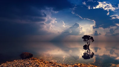 Reflexión tranquila de un árbol solitario bajo un horizonte nublado