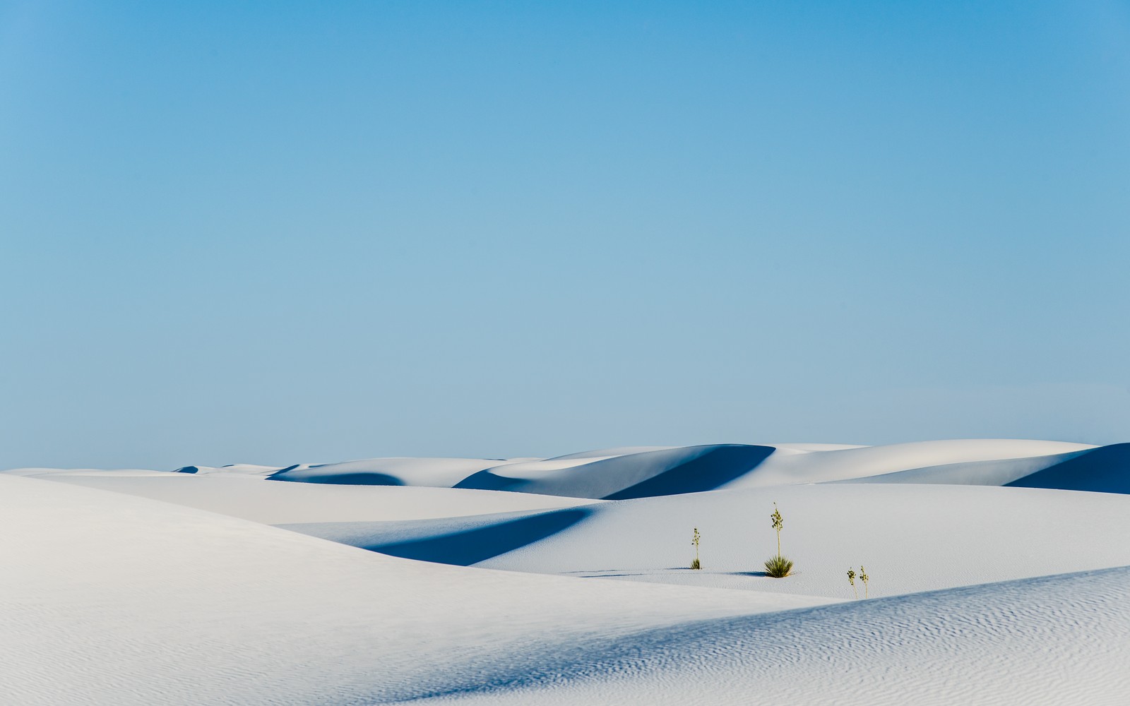 Descargar fondo de pantalla monumento nacional white sands, desierto, paisaje, nuevo méxico, naturaleza