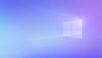 microsoft, windows 11, os, technology, 365 wallpaper