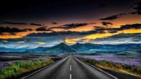 Encantadora carretera islandesa a través de campos de lavanda al anochecer