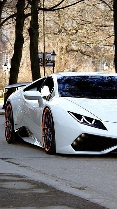 voiture, huracan, modifié, blanc