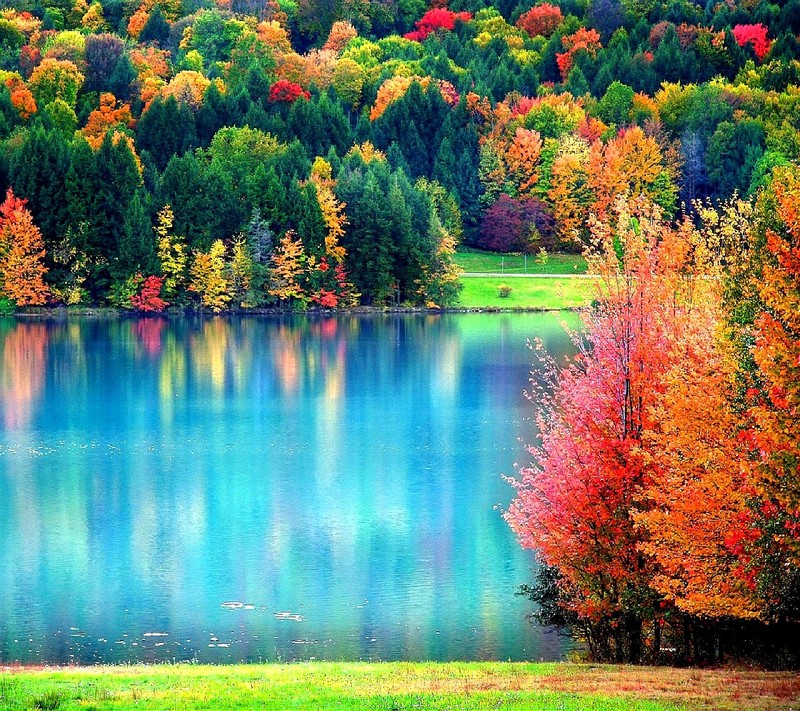 Vue aérienne d'un lac entouré d'arbres aux feuilles colorées (nature)