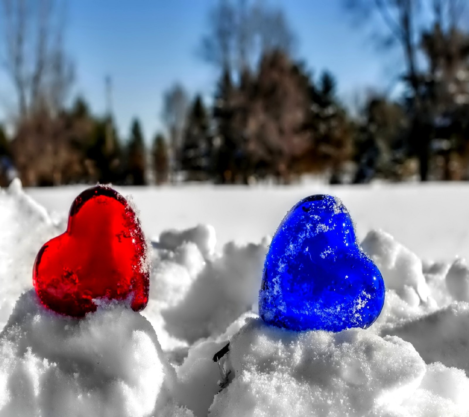 Il y a deux cœurs dans la neige, un bleu et un rouge (cœur à cœur)