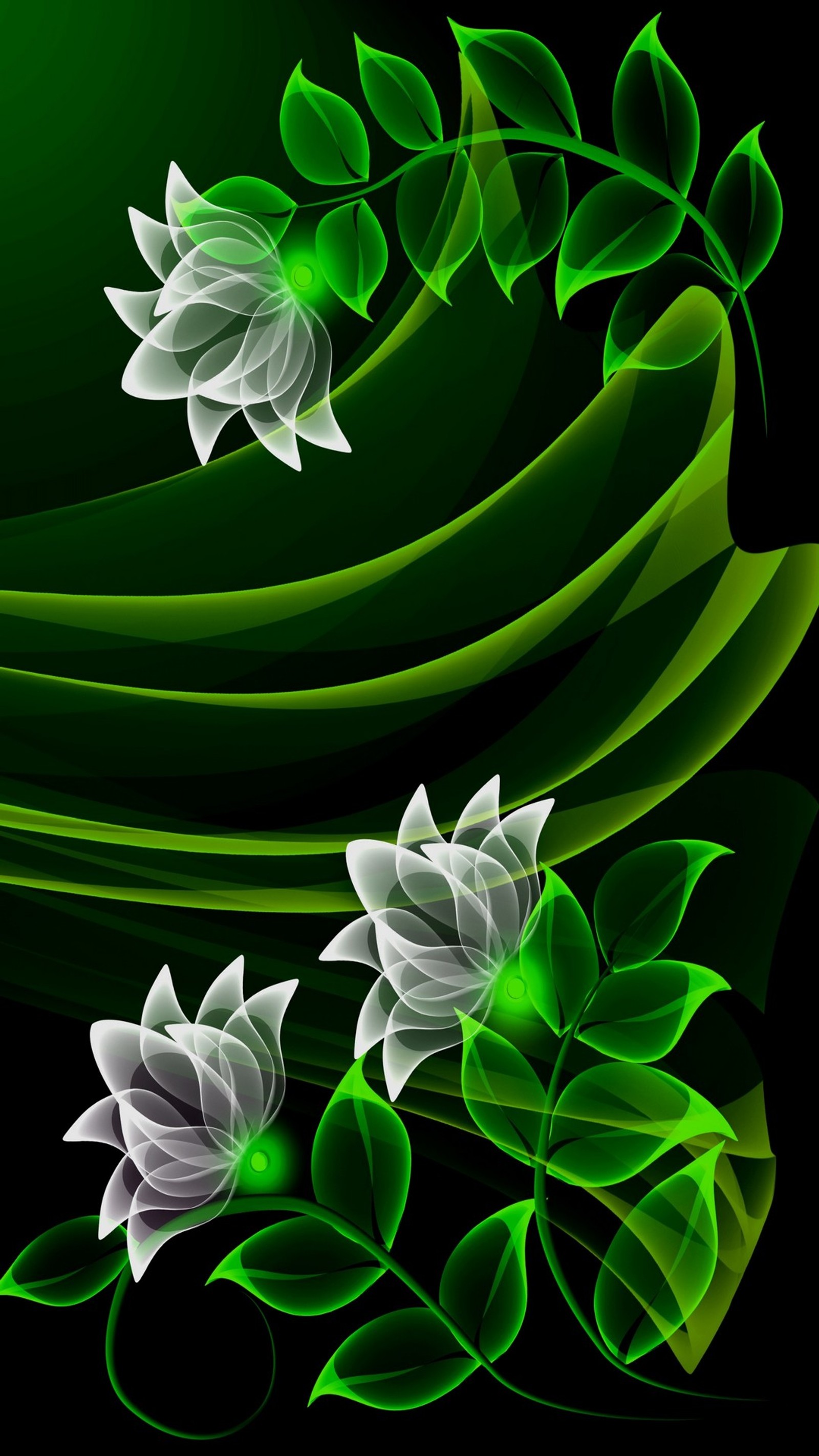 Gros plan d'une fleur verte et blanche sur un fond noir (designs, fleurs, vert, blanc)