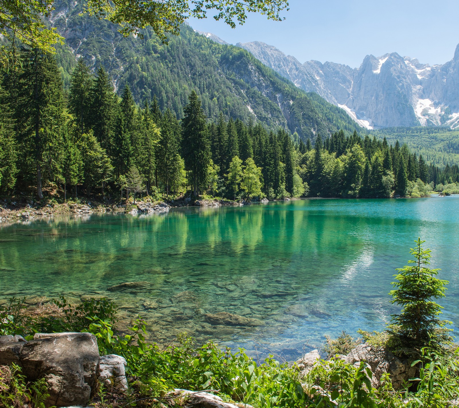 lake, pebble, plant, pond, rock wallpaper