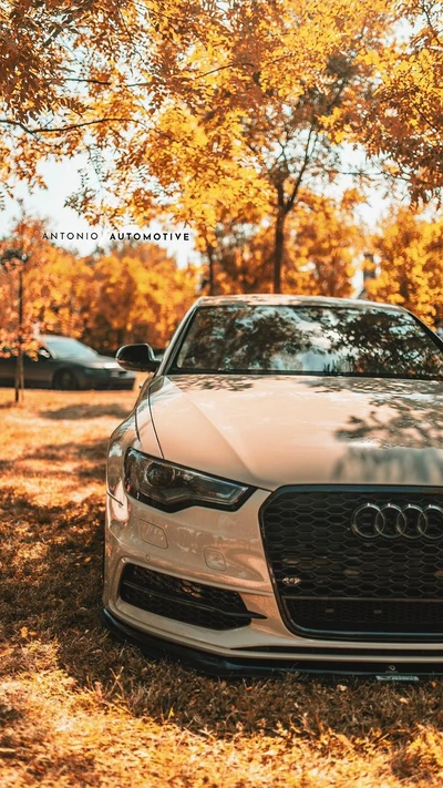 Audi A6 personalizado en un entorno otoñal