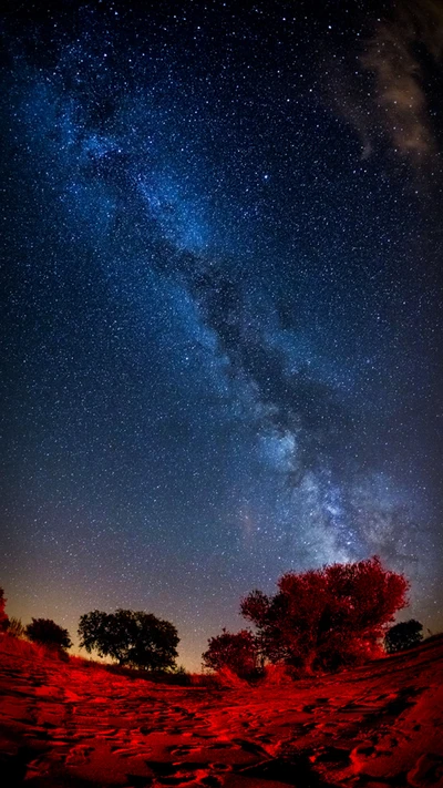 Céu noturno estrelado com a Via Láctea sobre uma paisagem desértica