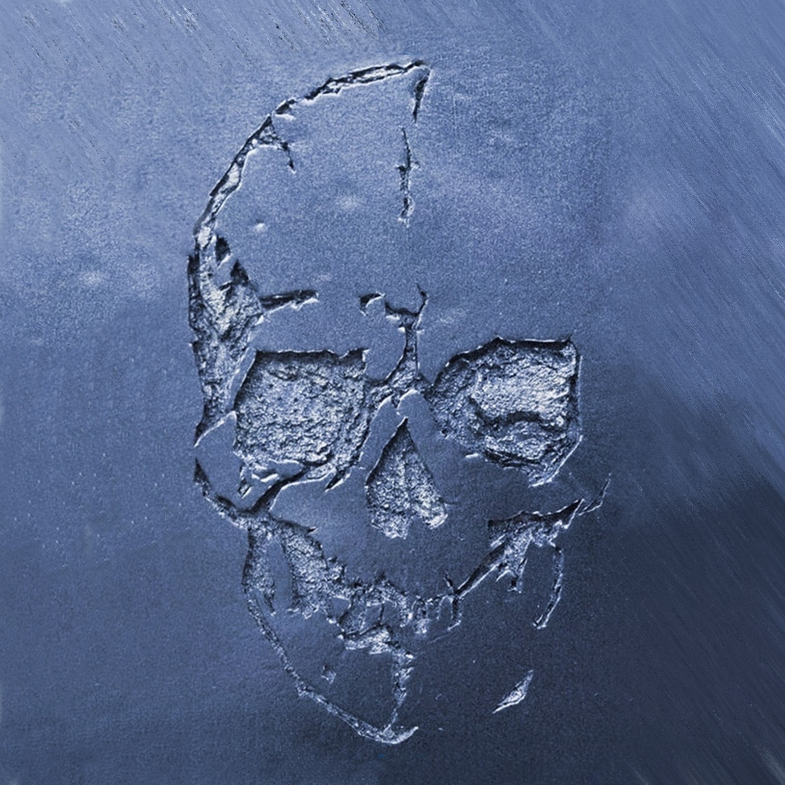 blue, skull, wall wallpaper