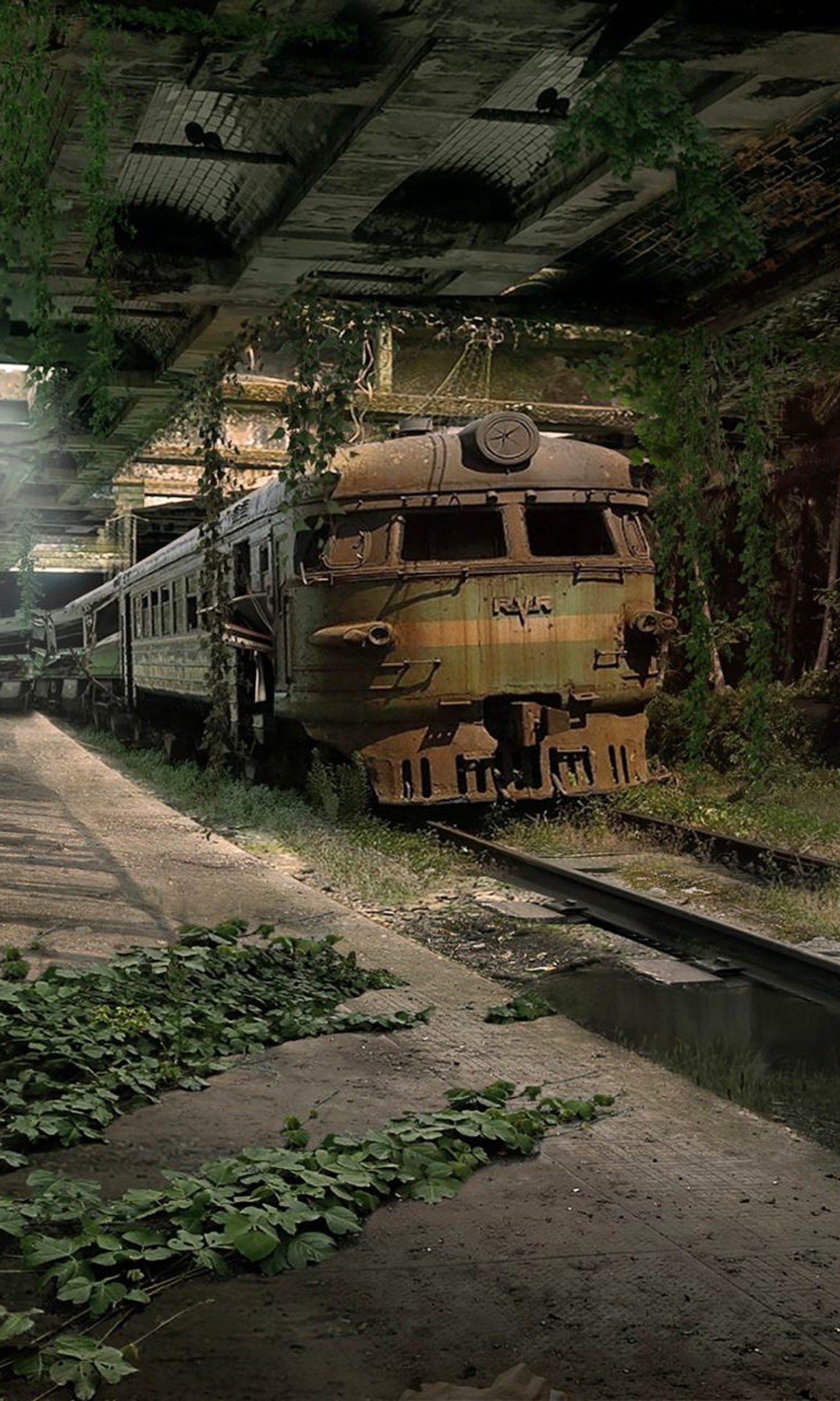 Hay un tren que está parado en las vías en el bosque (viejo, tren)