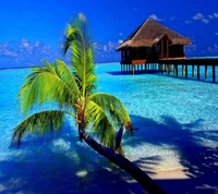 Tropical Paradise with Overwater Bungalow and Palm Tree