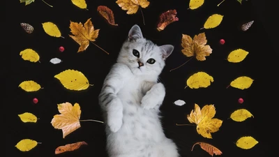 Autumn Whiskers: A Playful Cat Among Fallen Leaves