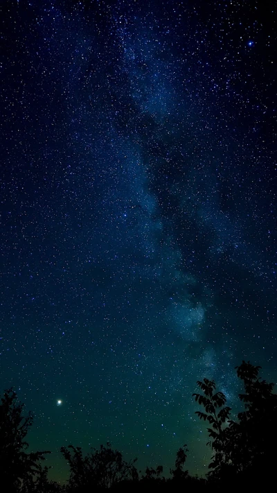 Starry Night Sky with the Milky Way Galaxy