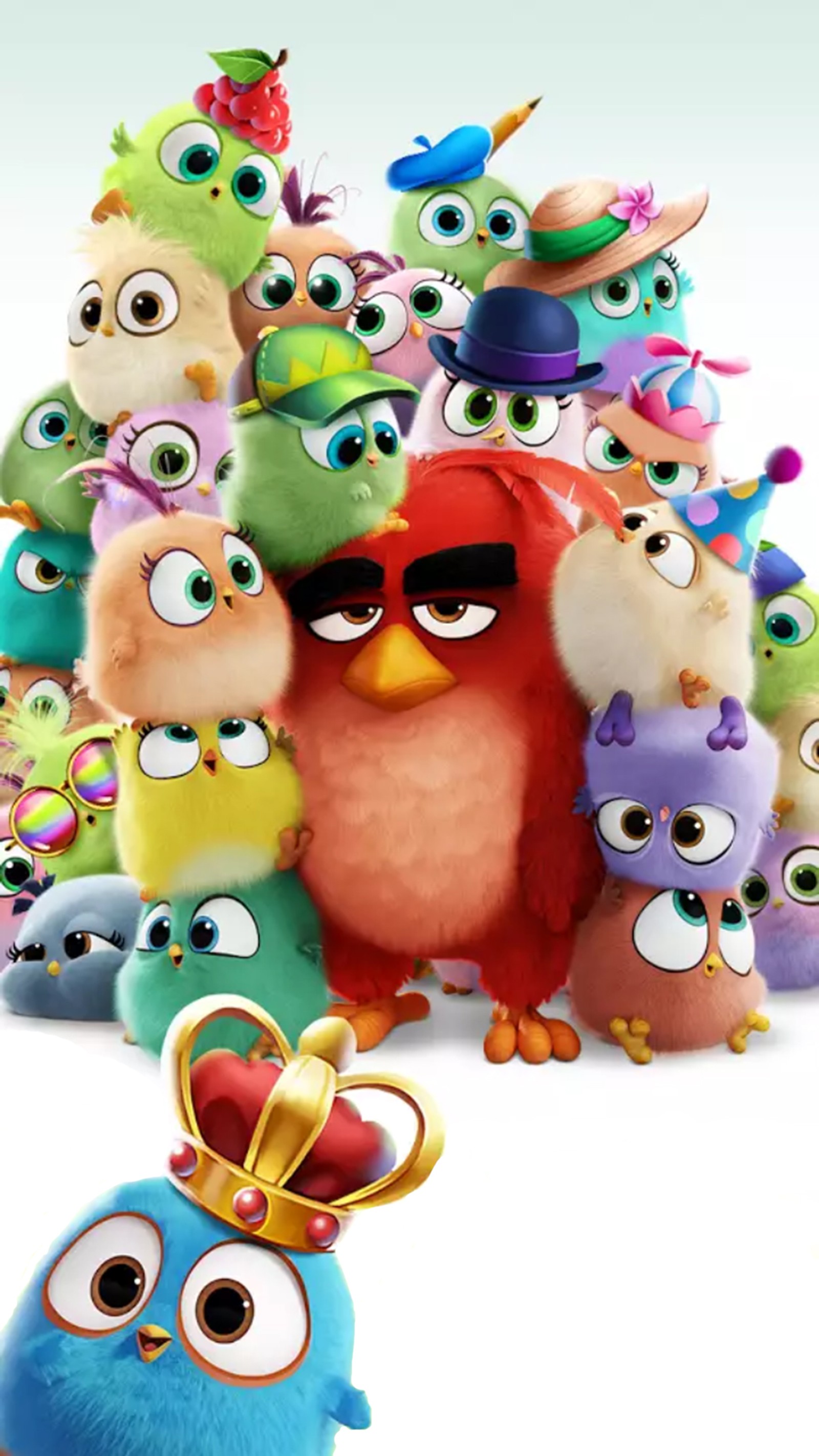 Póster de la película angry birds (angry birds, lindo, divertido, polluelos, película)