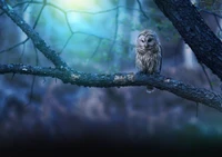 Hibou majestueux perché dans une forêt mystique