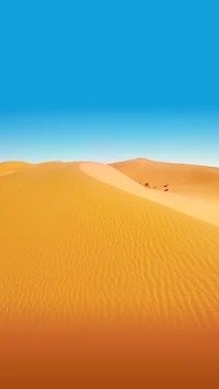 Dunas douradas sem fim sob um céu azul claro