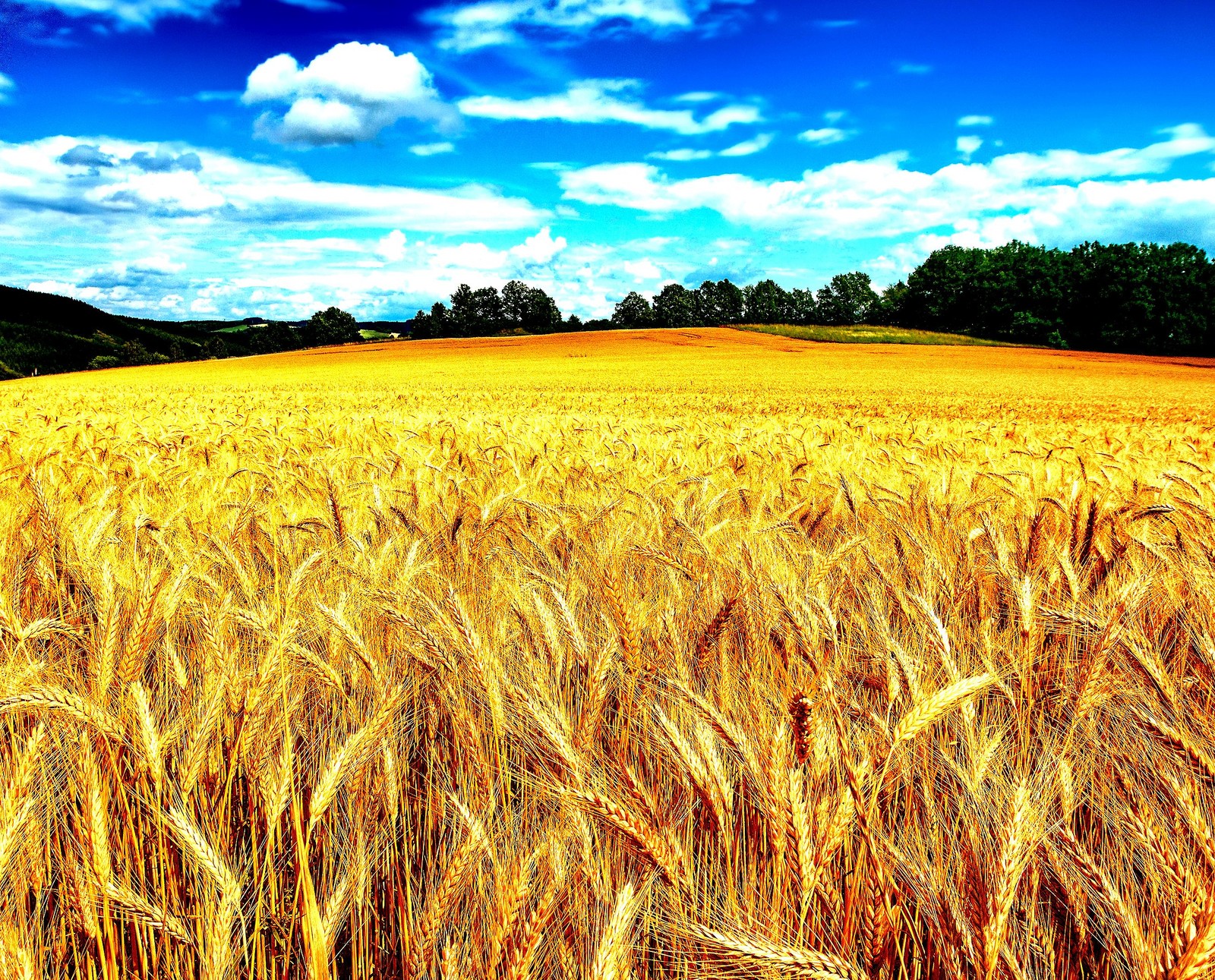 Descargar fondo de pantalla azul, campo, pico