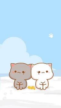 animal, cat wallpaper