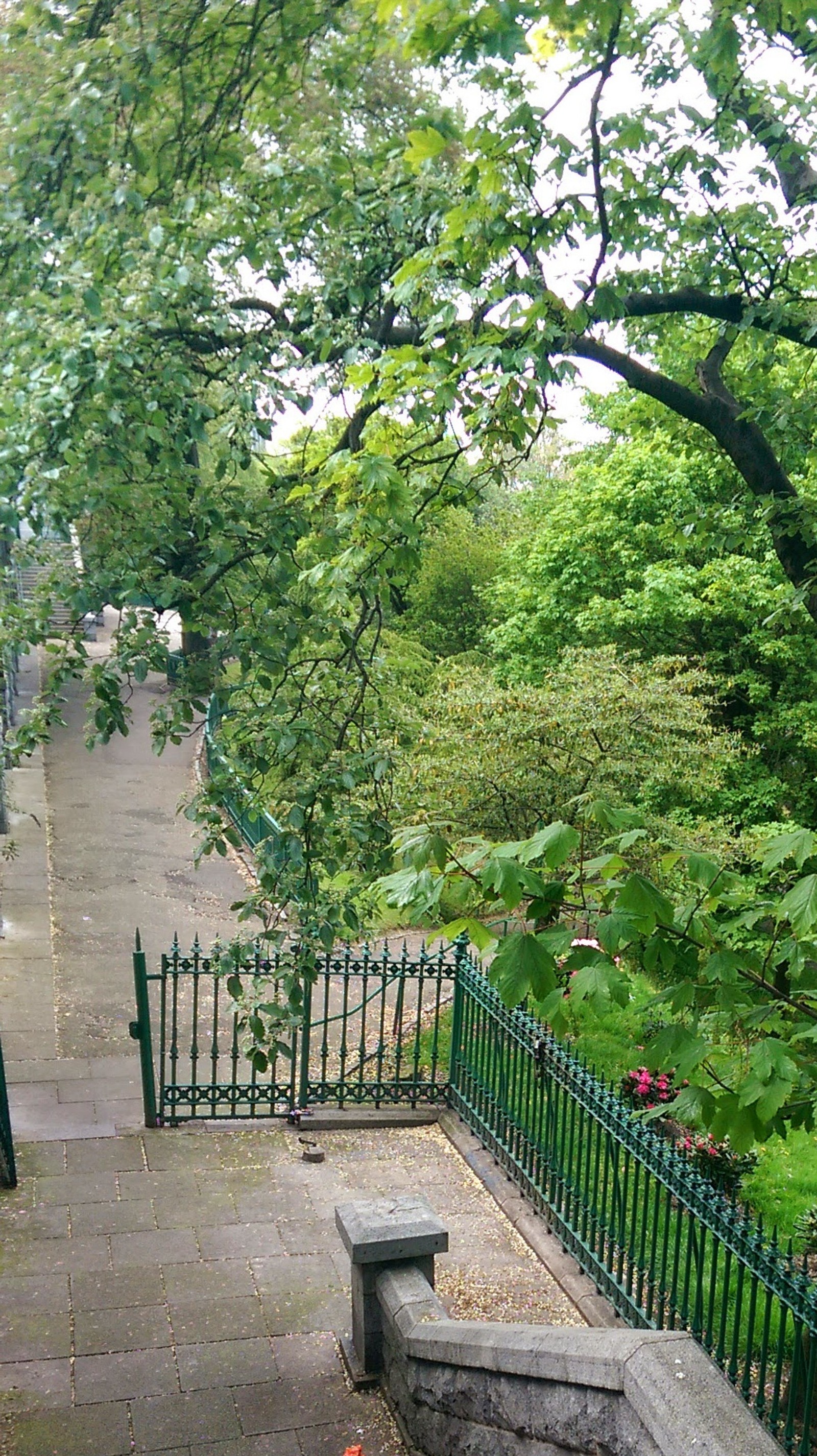 There is a bench sitting on the side of a sidewalk (green, landscape, nature)