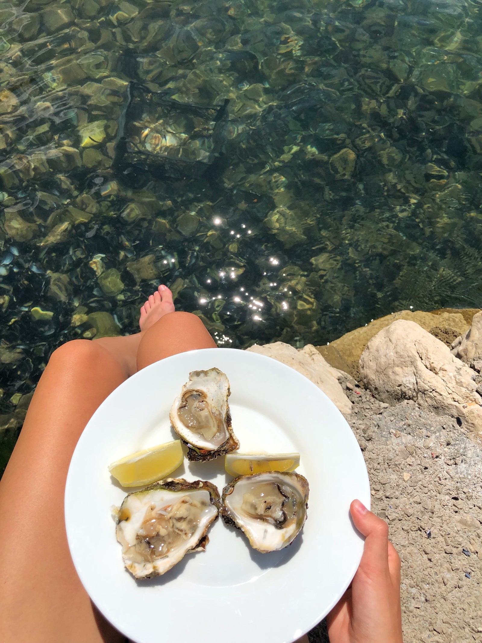 Человек держит тарелку с устрицами на пляже (морепродукты, очки, водоем, беспозвоночное, природа)