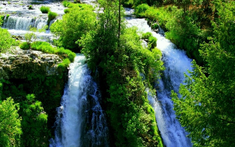 Крупный план водопада с деревьями и кустами на переднем плане (водопад, природа, водные ресурсы, водоем, вода)