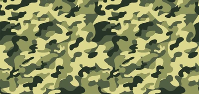 Multi-Scale Military Camouflage Pattern Design