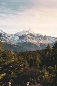 Majestätische schneebedeckte Gipfel erheben sich über einen dichten Wald und fangen die ruhige Schönheit einer Berglandschaft bei Sonnenuntergang ein.