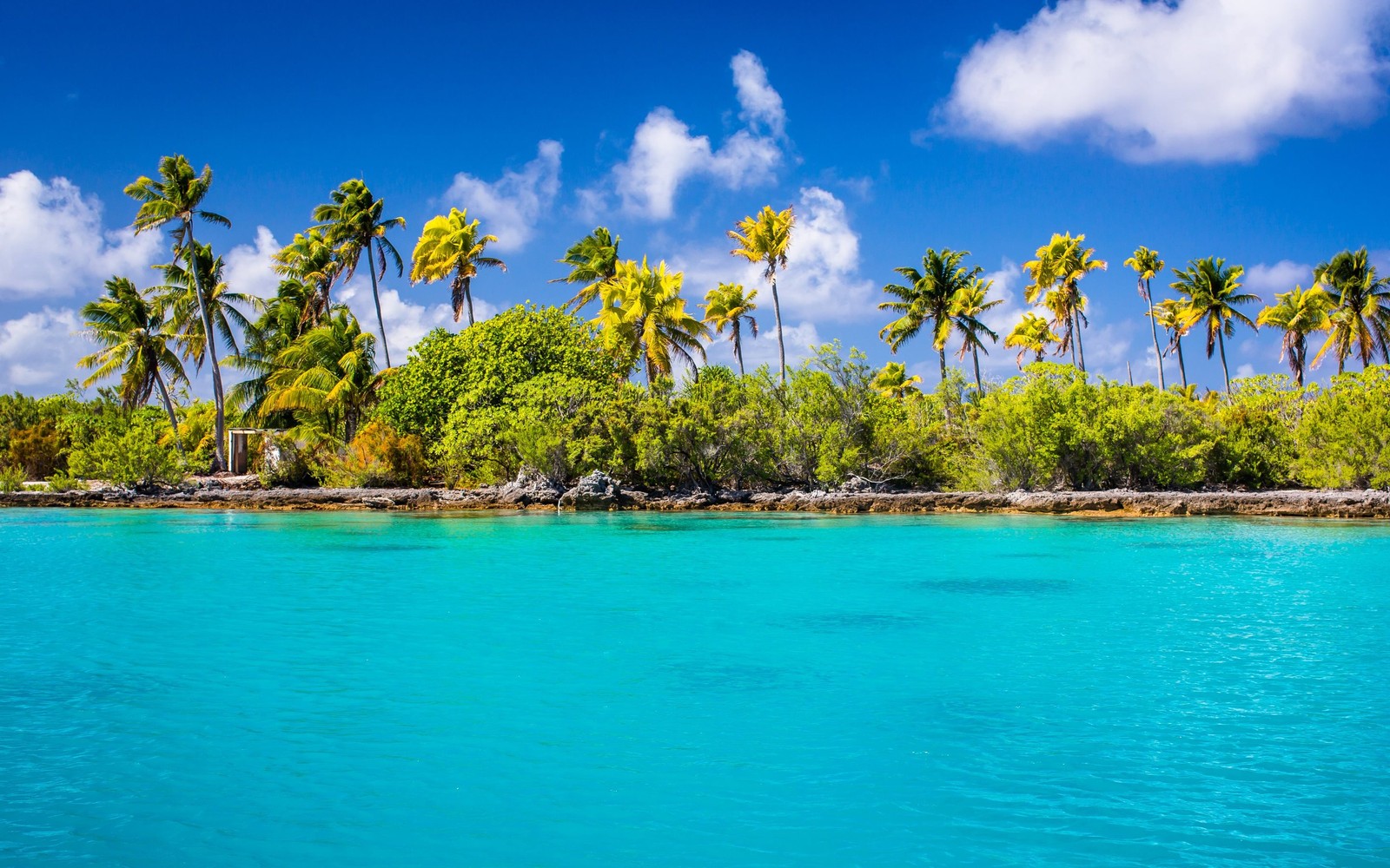 Uma ilha tropical com palmeiras e água azul (ilha, natureza, trópicos, vegetação, mar)