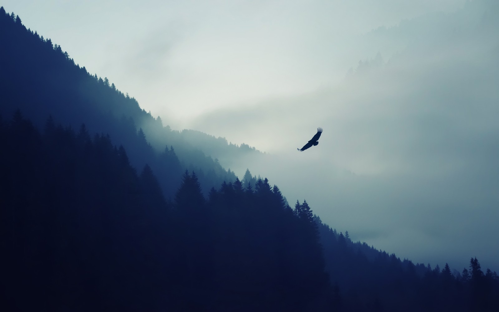 Ein vogel fliegt am himmel über einen berg. (tablet, wolke, atmosphäre, vogel, berg)