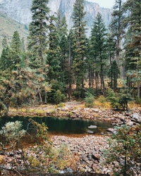 Floresta ripária serena cercada por árvores coníferas temperadas e terreno rochoso