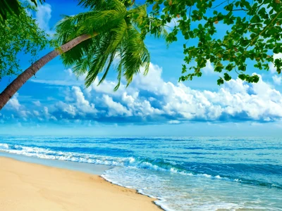 Tropical Beach Paradise: Serenity by the Shoreline