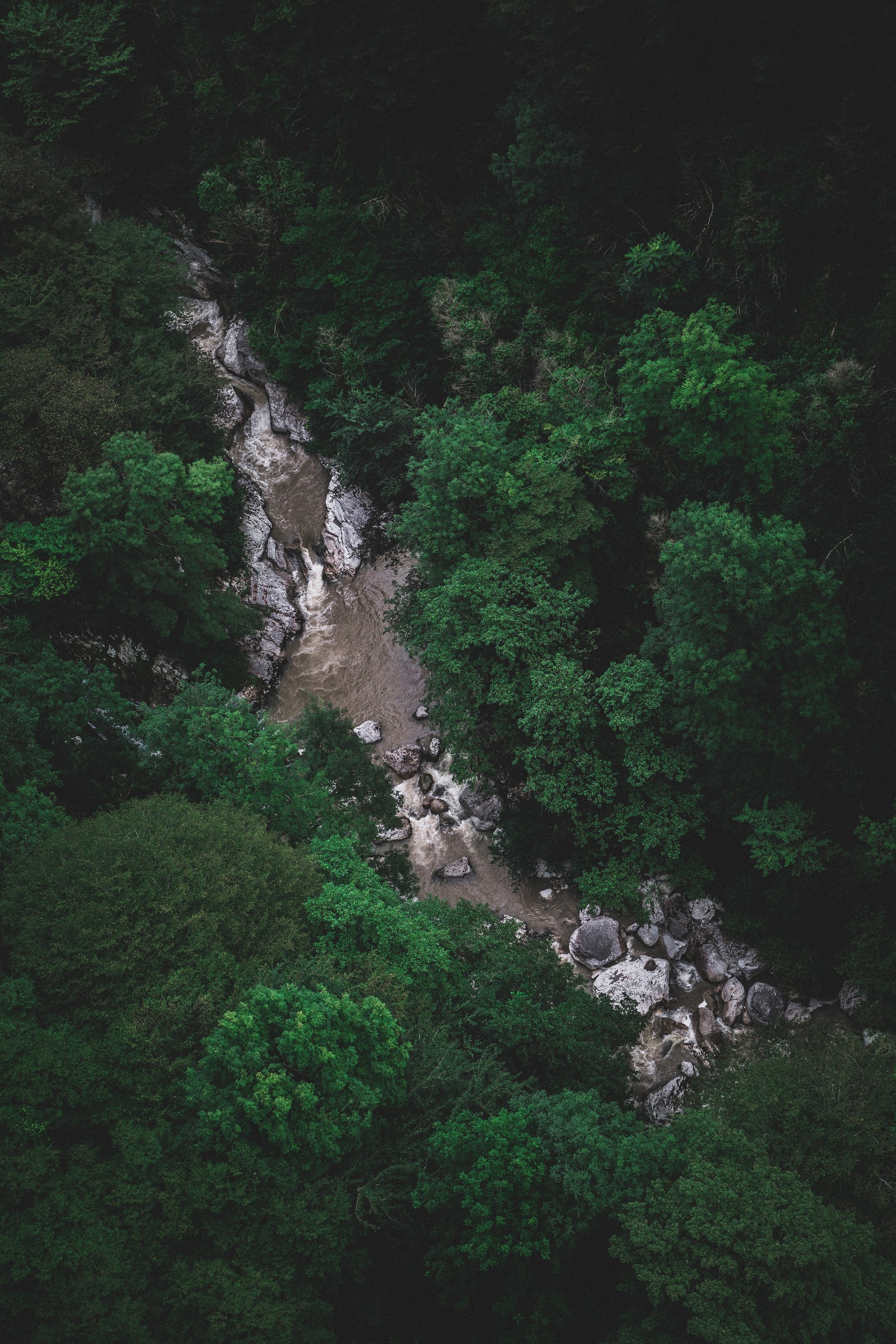 vegetation, green, nature reserve, water, watercourse wallpaper