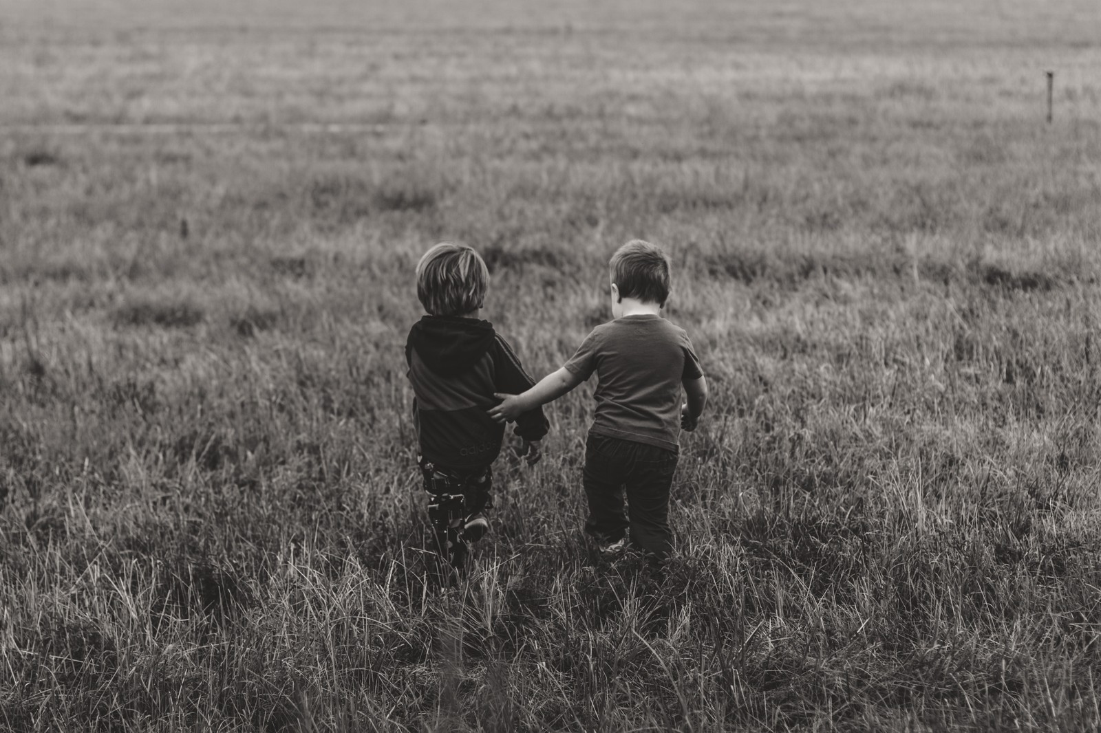 Two young boys holding hands in a field of tall grass (grassland, grass, black, grazing, child)